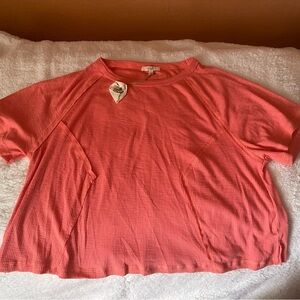 Easel Crop Top Shortsleeved Top in Coral color